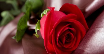 U Sloveniji bi Dan žena ubuduće mogao biti državni praznik