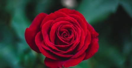 Danas se obilježava Međunarodni dan žena