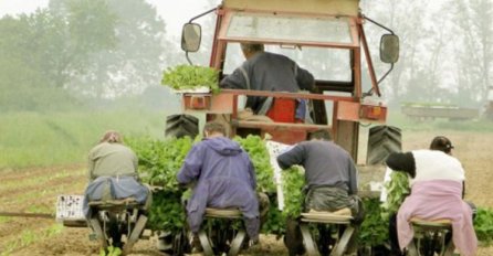 Isplaćeno gotovo pet miliona KM podsticaja