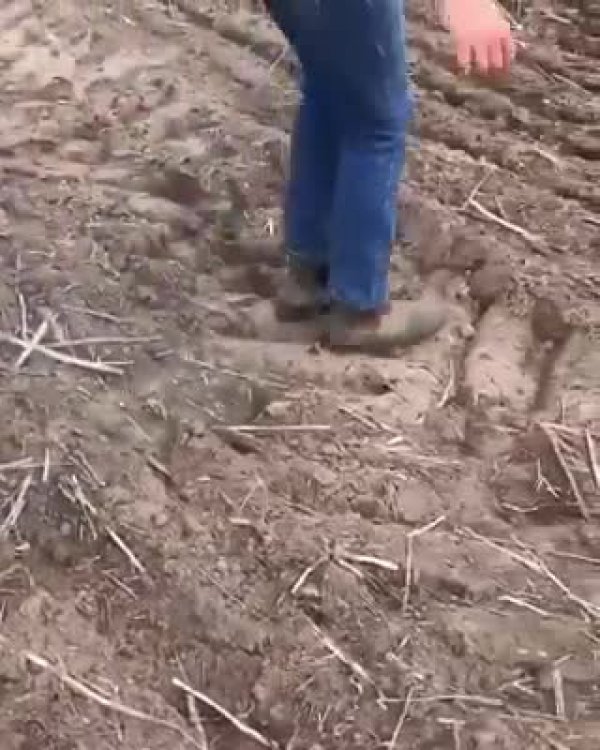 c827624b7ced0d7e780c-1