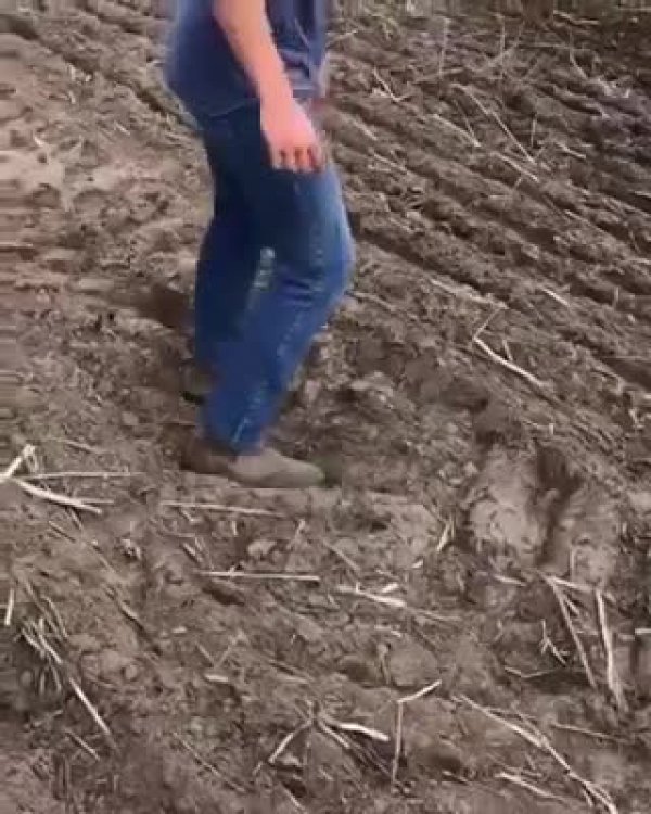 c827624b7ced0d7e780c-2