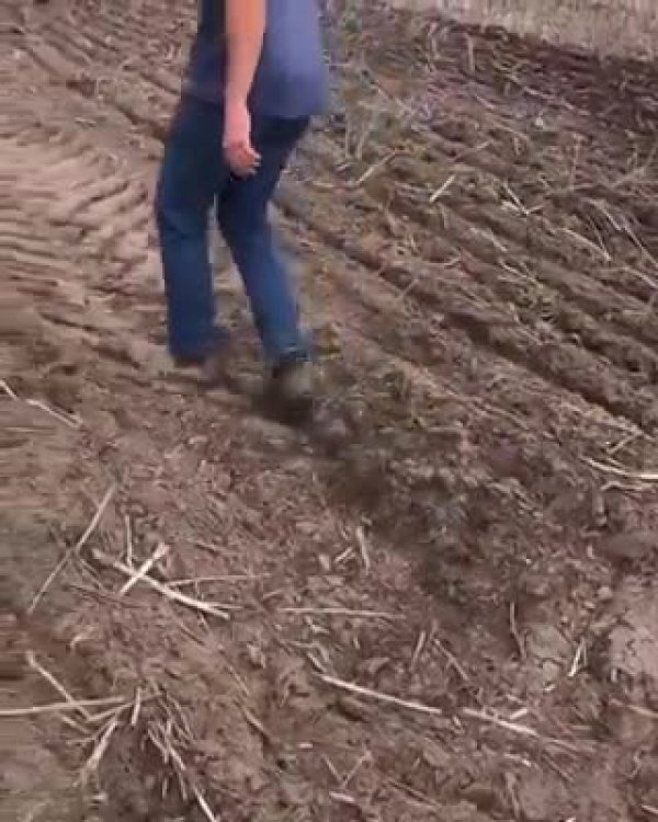 c827624b7ced0d7e780c-3