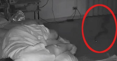 KAO IZ NOĆNE MORE: PITON se ušunjao u kuću i ujeo staricu dok je spavala! (VIDEO)