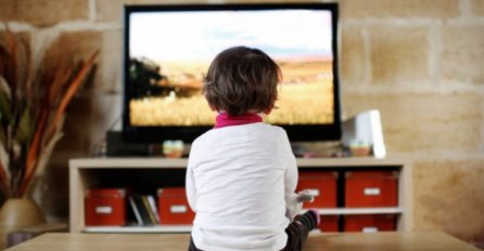 SAJBER KRIMINAL: Za crtani film koji su skinuli s interneta morali platiti 950 eura