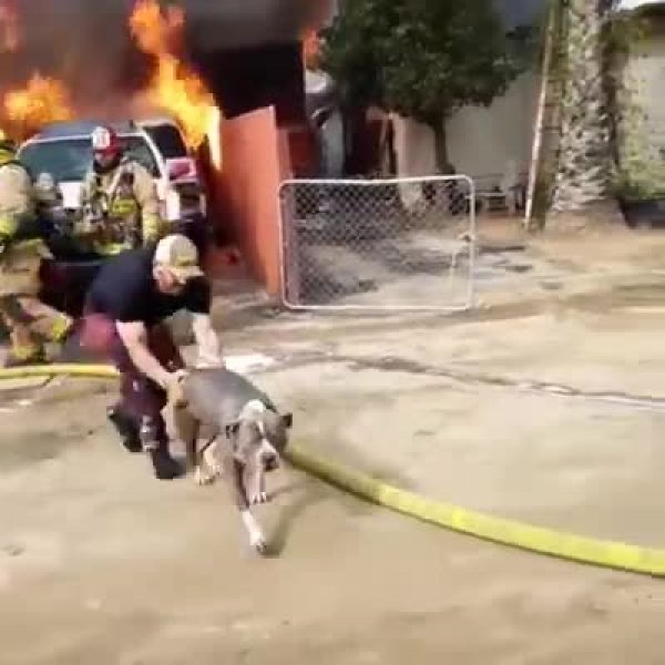 c8befedc42356bc2e6d7-3