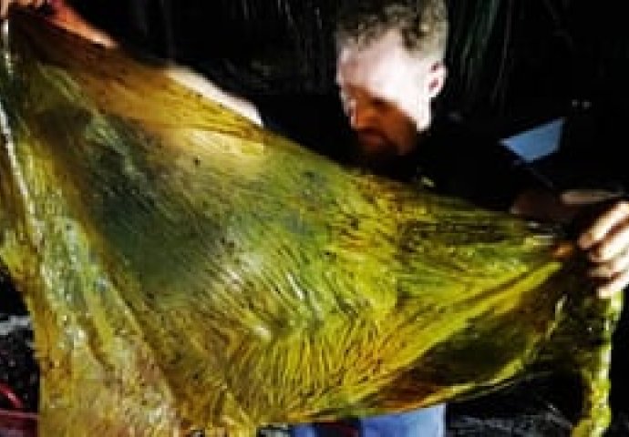 Kit uginuo na Filipinima nakon što je progutao 40 kg plastičnih vrećica