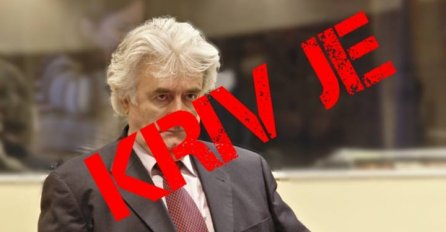 KONAČNA PRESUDA: Karadžić je osuđen na doživotni zatvor