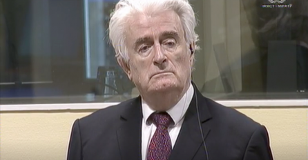 SDS: Neutemeljena i skandalozno nepravedna presuda