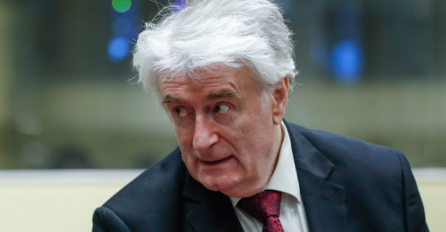 Hoće li moći Karadžić tražiti izlazak na slobodu?