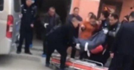 HOROR, DJEČAK (13) ISKASAPIO MAJKU JER JE UBILA NJEGOVOG PSA: Bacila ljubimca na zemlju, a onda je dječak ZGRABIO SJEKIRU!