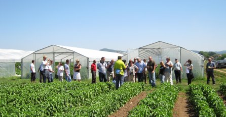 Zadruga iz Sanskog Mosta predvodi proizvodnju presadnica u regiji