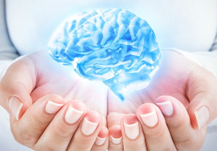 Nova studija otkrila: Ljudski mozak postaje PUNOLJETAN tek s 30 godina