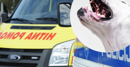 Pas grizao bebu dok je plakala u sobi: Policija je protiv oca najavila krivičnu prijavu