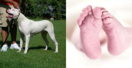 Kosti glave su oštećene: Beba koju je pas izgrizao je kritično