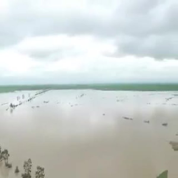 c99f14b635c20e1874d7-2