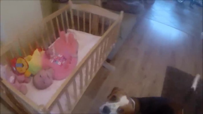 c9a2eab78997a538320a-2