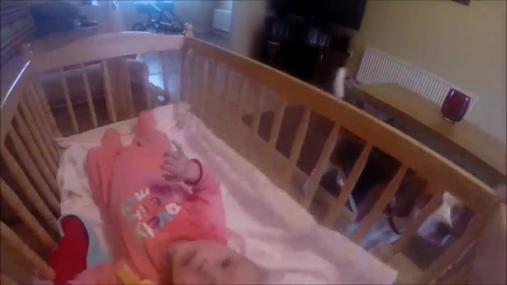 c9a2eab78997a538320a-3