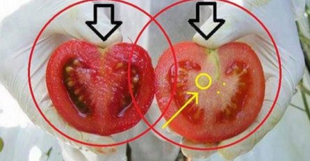NE JEDITE OTROV:  Pogledajte kako prepoznati GMO HRANU U 2 KORAKA! (FOTO)