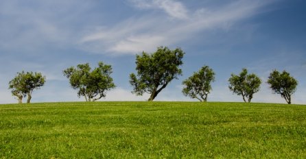 VREMENSKA PROGNOZA: Uživamo u proljeću, danas u BiH toplo