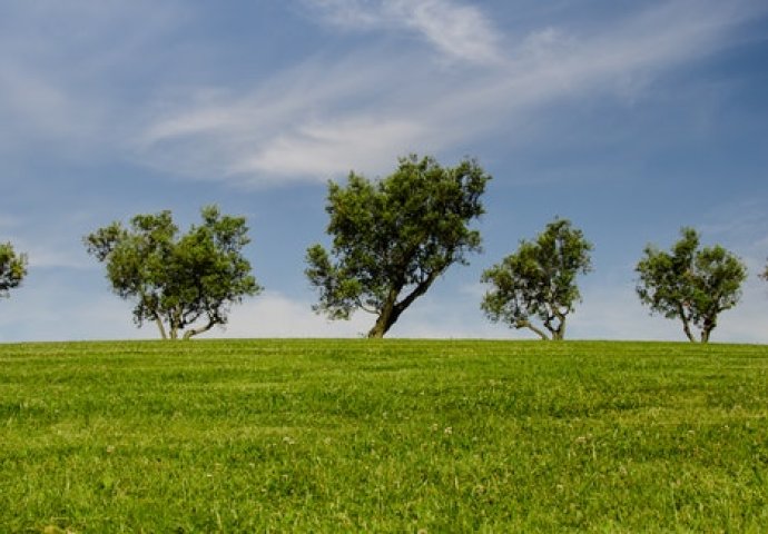 VREMENSKA PROGNOZA: Uživamo u proljeću, danas u BiH toplo