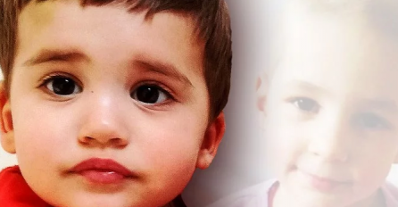 Evo koji bi američki liječnik trebao liječiti Milu