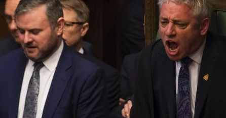 Demonstranti se skinuli pred britanskim zastupnicima