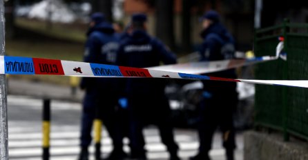 HOROR: Stric ubio bratanca! 