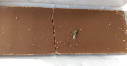 PAZITE KAKVU ČOKOLADU JEDETE? Prije jela pogledajte i dva puta, pojavili se insekti unutar slatke namirnice!