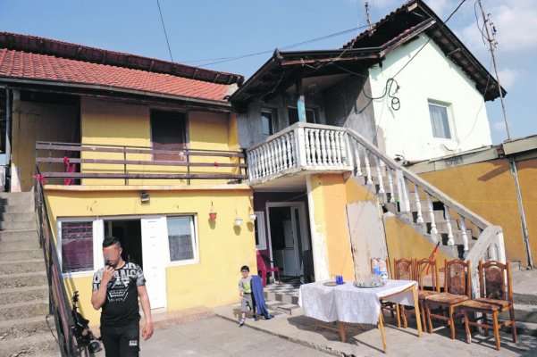 pozarevac-beba-misomor-foto-alo-1000x0