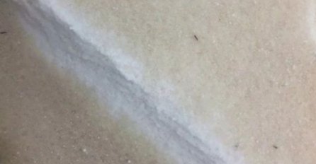 OLUJA POGODILA SAD: Pada smeđi snijeg