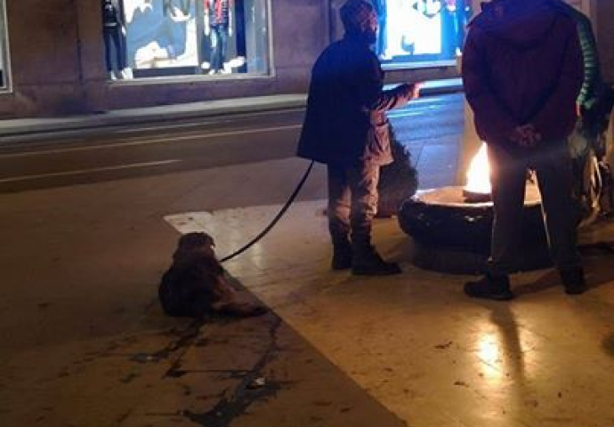Silovao psa u centru Sarajeva: Životinje misteriozno nestaju, ovaj čovjek viđen je kako ih tuče i se*sualno zlostavlja