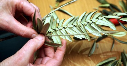 Katolici diljem BiH slave Cvjetnicu, prvi dan Velikoga tjedna