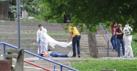 SIN UBIO MAJKU, TUKAO JE AŠOVOM PO GLAVI, PREMINULA JE U DVORIŠTU: Jezivo ubistvo ispred porodične kuće potreslo sve