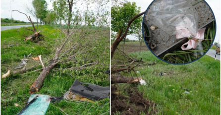 SNAJKA POZNATOG SRPSKOG FUDBALERA POGINULA UOČI VASKRSA: Aleksandra (49) i Nikola (22) sa veselja otišli pravo u smrt...a jedan detalj sa lica mjesta OSTAVLJA BEZ RIJEČI (UZNEMIRUJUĆE FOTOGRAFIJE)