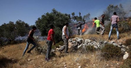 VANDALSKI NAPAD: Jevrejski doseljenici uništili palestinski maslinjak