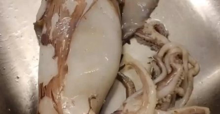 MLADIĆ ČISTIO LIGNJU, PA NAŠAO NEŠTO NEVJEROVATNO: Znao sam da je u njoj nešto sakriveno, ali ovo me je ZAPREPASTILO! 