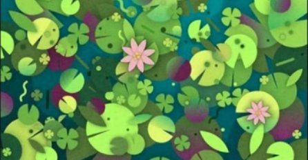 SVE ŽENE OVU MOZGALICU RIJEŠE U SEKUNDI, ALI NIJEDAN MUŠKARAC NE MOŽE:Možete li na slici da vidite ŽIVOTINJU? (FOTO)