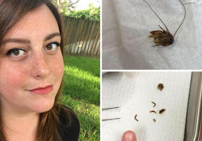 UŠAO JOJ JE ŽOHAR U UHO DOK JE SPAVALA: Ljekari ga nisu mogli 9 dana izvaditi, OVI DETALJI LEDE KRV U ŽILAMA