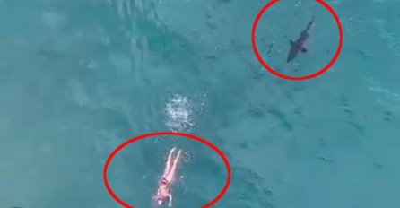 ZASTRAŠUJUĆA SCENA ZABILJEŽENA KAMEROM: Ajkula krenula na plivača, a onda se dogodilo ČUDO!