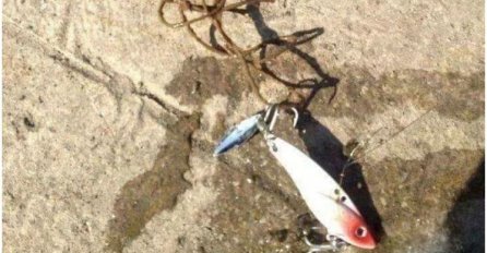 PECAO JE NA RIJECI U SRBIJI: Zbog onog što je izvukao iz vode kolege su mu rekle da odmah POZOVE POLICIJU! 