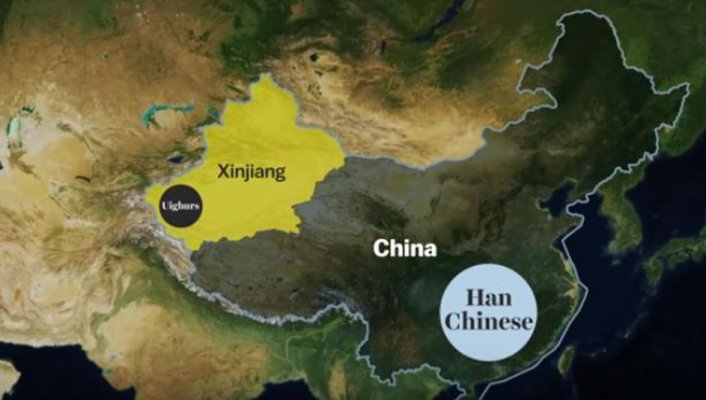 11922443ad3d9e2fcbce