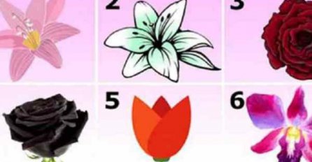 CVIJET KOJI VAS NAJVIŠE PRIVLAČI OTKRIVA ZAPANJUJUĆU TAJNU VAŠEG KARAKTERA: Riješite ovaj test i otkrijte mnogo o sebi