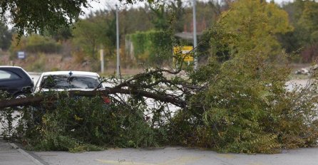 STRAŠNA OLUJA NOSI SVE PRED SOBOM: Jak vjetar čupa stabla, ruši štandove, a meteorolozi upozorili da ih sada ovo čeka