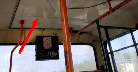 NOVOSAĐANKA IŠLA AUTOBUSOM, A KAD JE PODIGLA GLAVU ŠOK: Odmah je uzela mobitel da uslika, CIJELA SRBIJA U NEVJERICI!