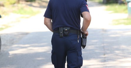 Službenici Granične policije BiH uhapsili sedam osoba