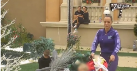 MALI ŽELJKO PROŠETAO ZADRUGOM, NEMA NI GODINU DANA A VEĆ PRAVA ZVIJEZDA: Vidite li detalj O KOJEM SVI BRUJE? (FOTO)