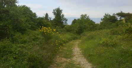Kinezi zalutali zbog navigacije, evo u kojem BH. selu su pronađeni