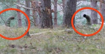 PRIMIJETILI SU KAKO DVIJE CIJEVI VIRE IZNAD ZEMLJE, A ONDA SU PRONAŠLI ULAZ: Otkrili su VELIKU TAJNU skrivanu godinama, ŠOK!