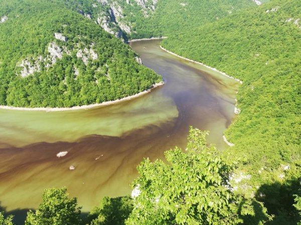 61126735-2319770148084291-2981214448867344384-n