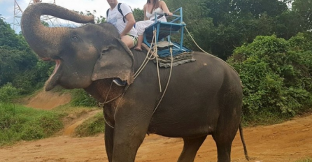 Ovi detalji iz privatnog života Tegeltije šokirali javnost: Svi ga ogovaraju zbog ovoga